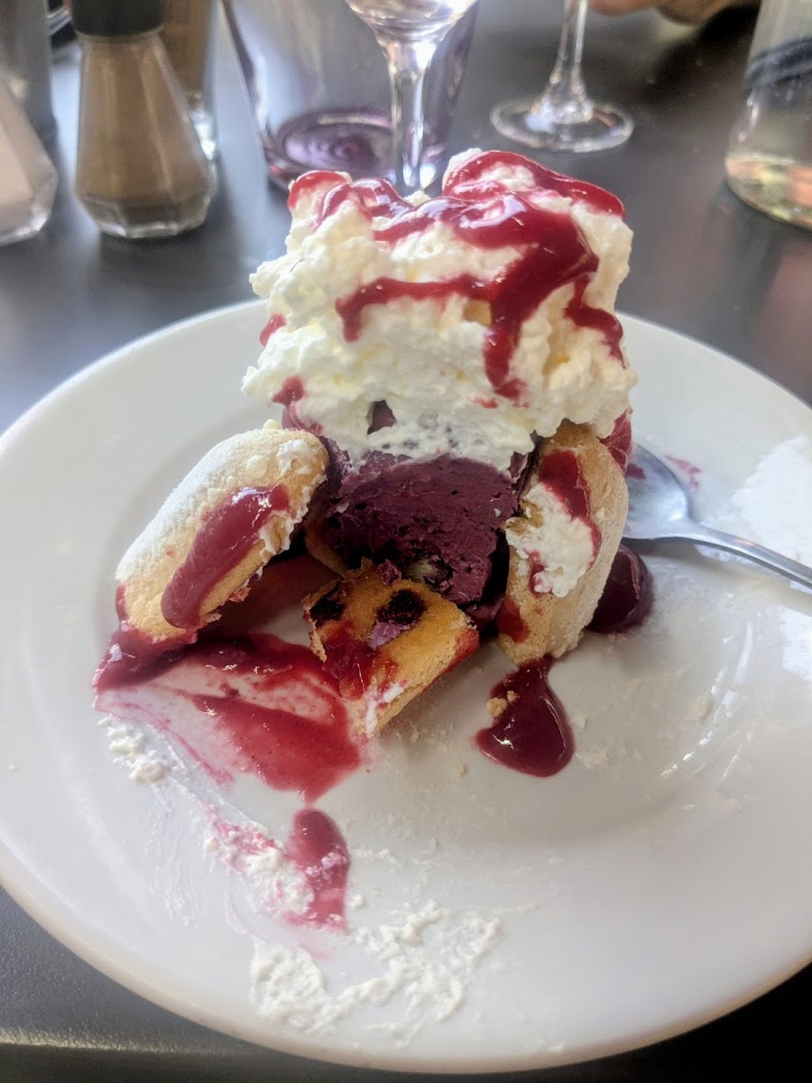 Le Gypaete Barbu Photos 2